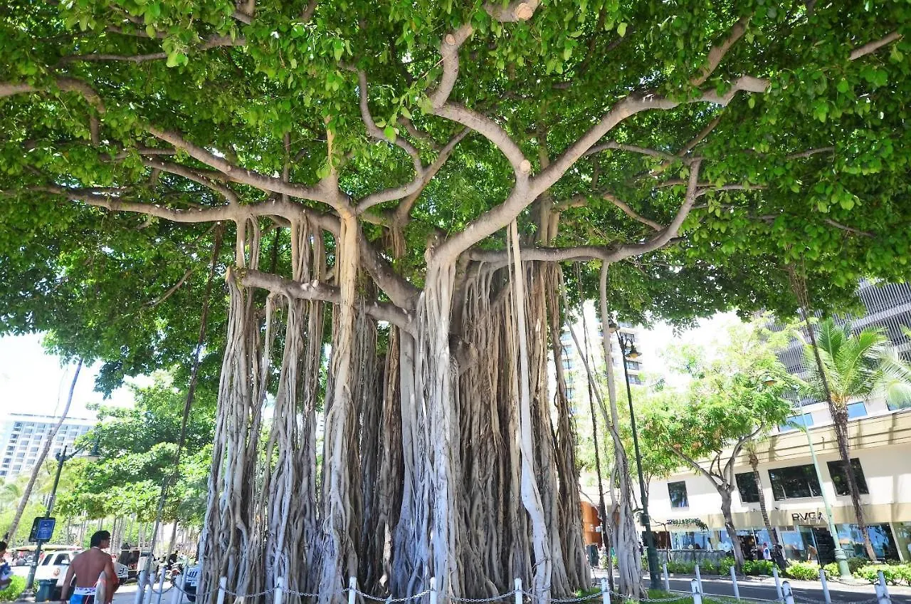 Appartamento Kuhio Village 810A King Studio, Waikiki Ocean View! Honolulu